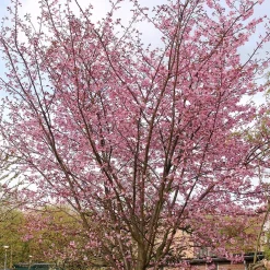 150-200 cm