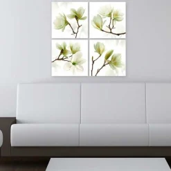 Admiration Of Magnolia