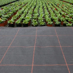 Agrimpex Argola 2x10 m Svart