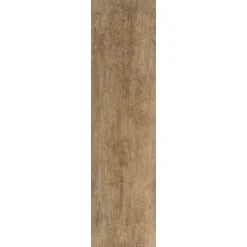 Albero Nocciolo 30x120 cm