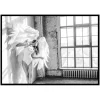 Angel Wings Landscape