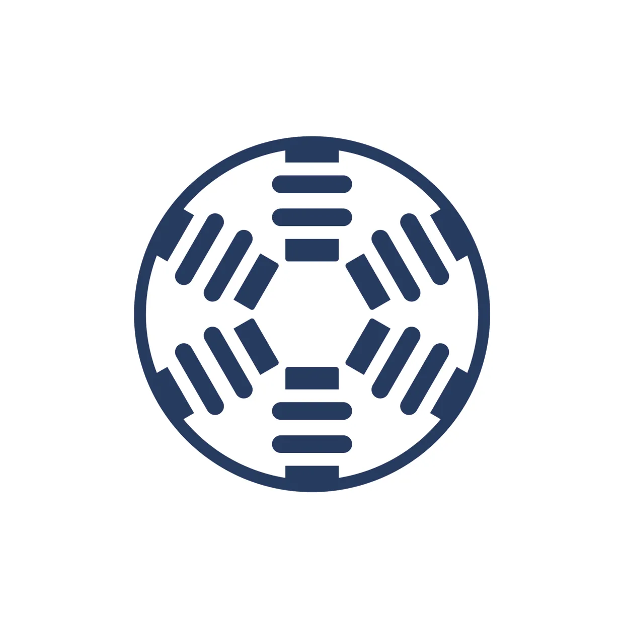 Aspire PS30X Med Teleskopskaft Utan Batteri & Laddare