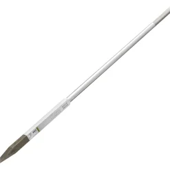 ASS