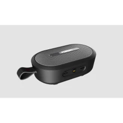 Barbeque Speaker