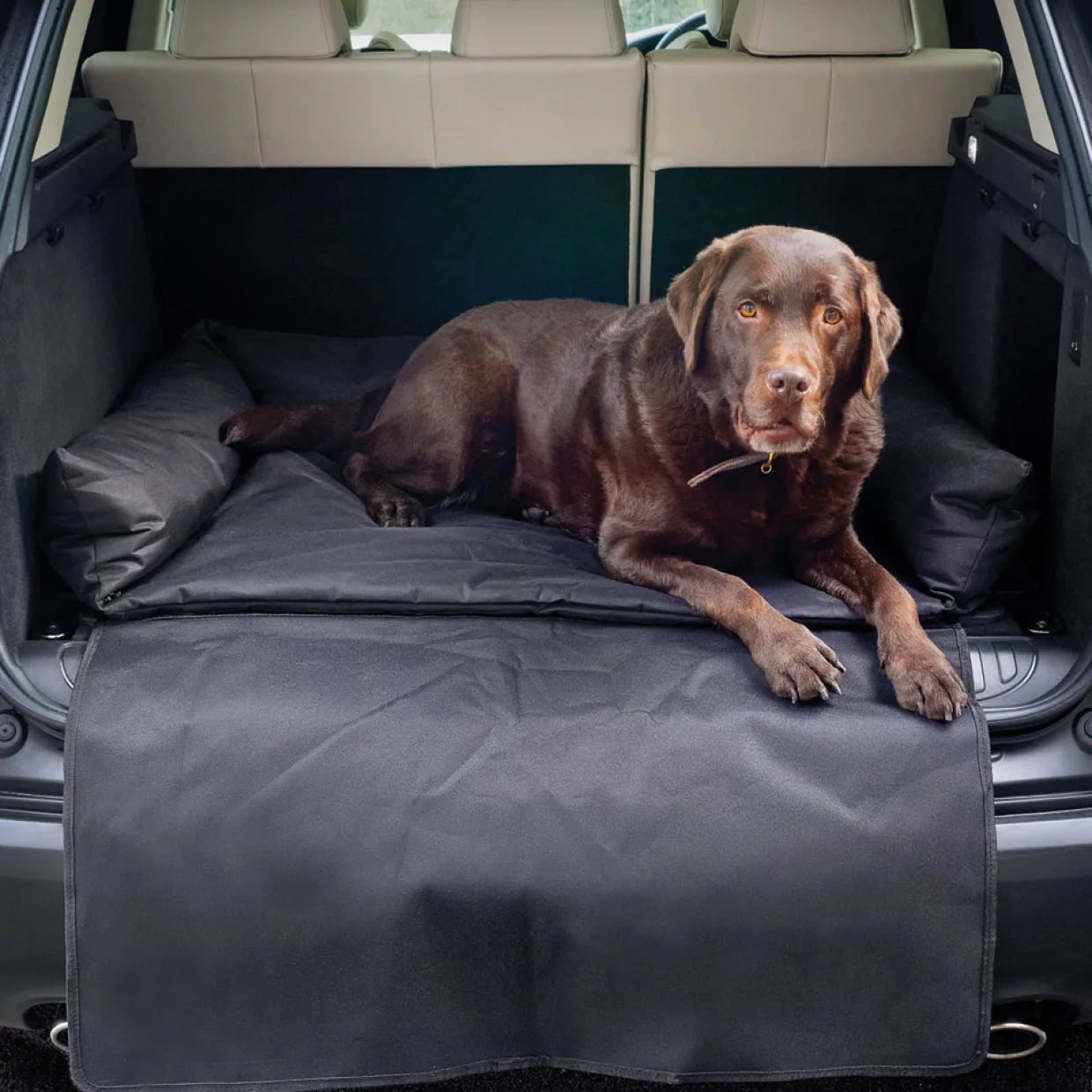 Boot Bed