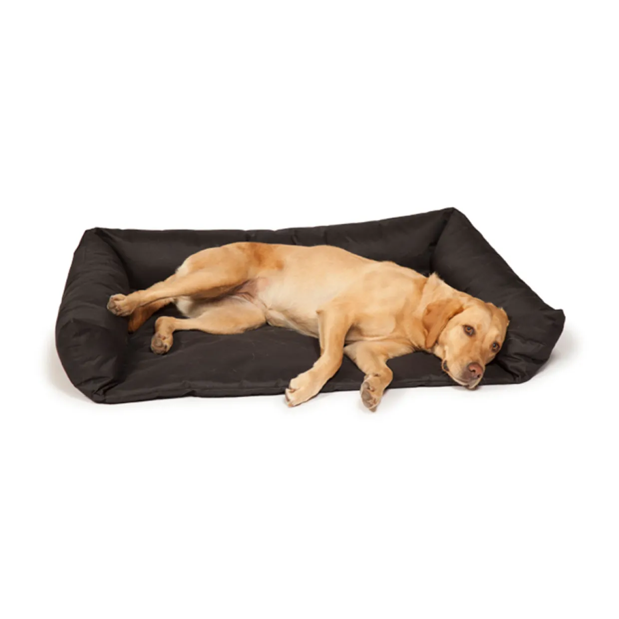 Boot Bed
