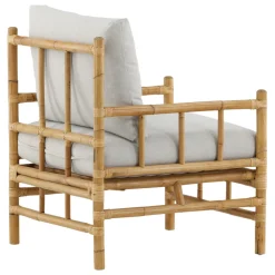 Cane