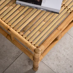 Cane Utomhus