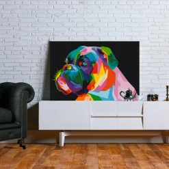 Colourful Boxer