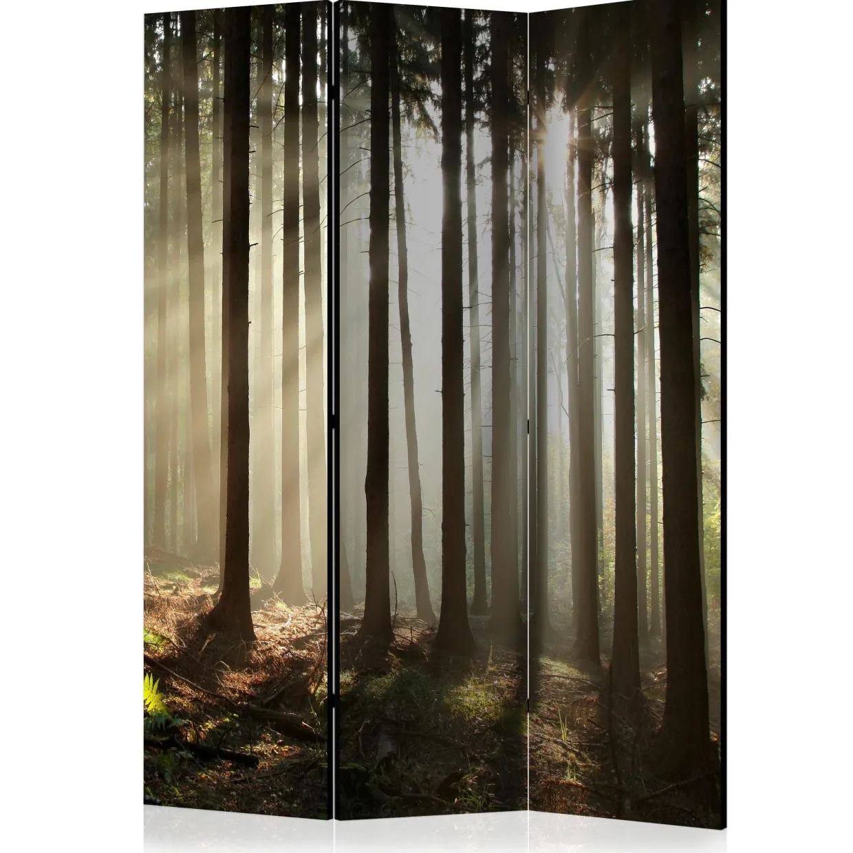 Coniferous Forest 135x172 cm
