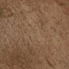 Copper Shine Skiffer