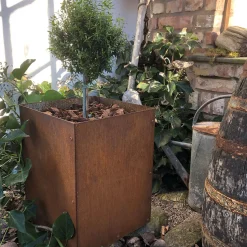 Corten