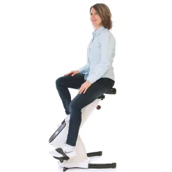 Desk Bike