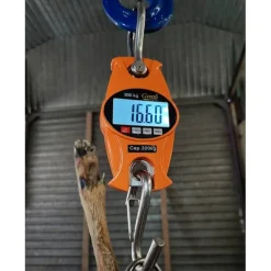 Digital 300 kg