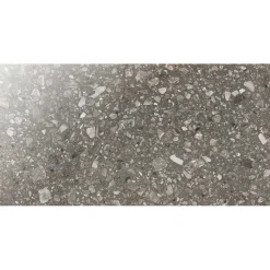 E36 Terrazzo San Polo Polished 30x60 cm