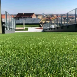 EasyGreen