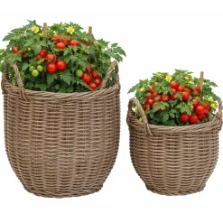 EGG planteringskorgar 2-set x 4