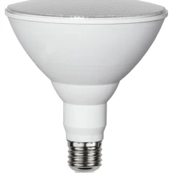 E27 PAR38 Plant Light Varmvit