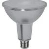 E27 PAR38 Spotlight Glass Dimbar 13W