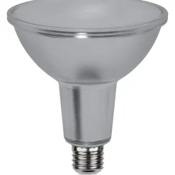 E27 PAR38 Spotlight Glass Dimbar 13W
