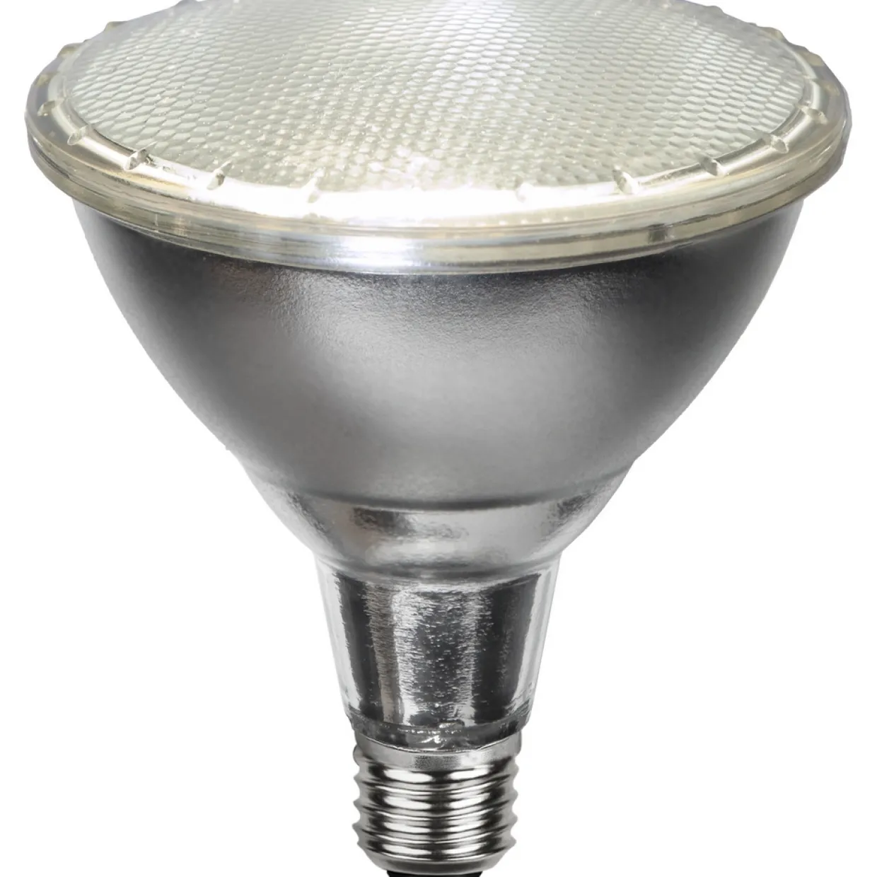 E27 PAR38 Spotlight Outdoor Silver