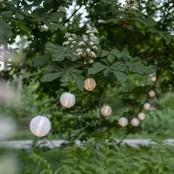 Festival 10st LED-ljuskällor
