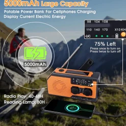 FM/AM Med Powerbank