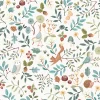 Forest Wonders