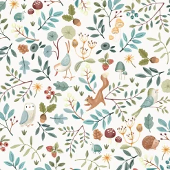 Forest Wonders