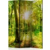 Forest Rays 135x172 cm