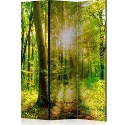 Forest Rays 135x172 cm