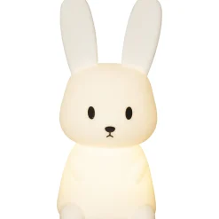 Functional Bunny