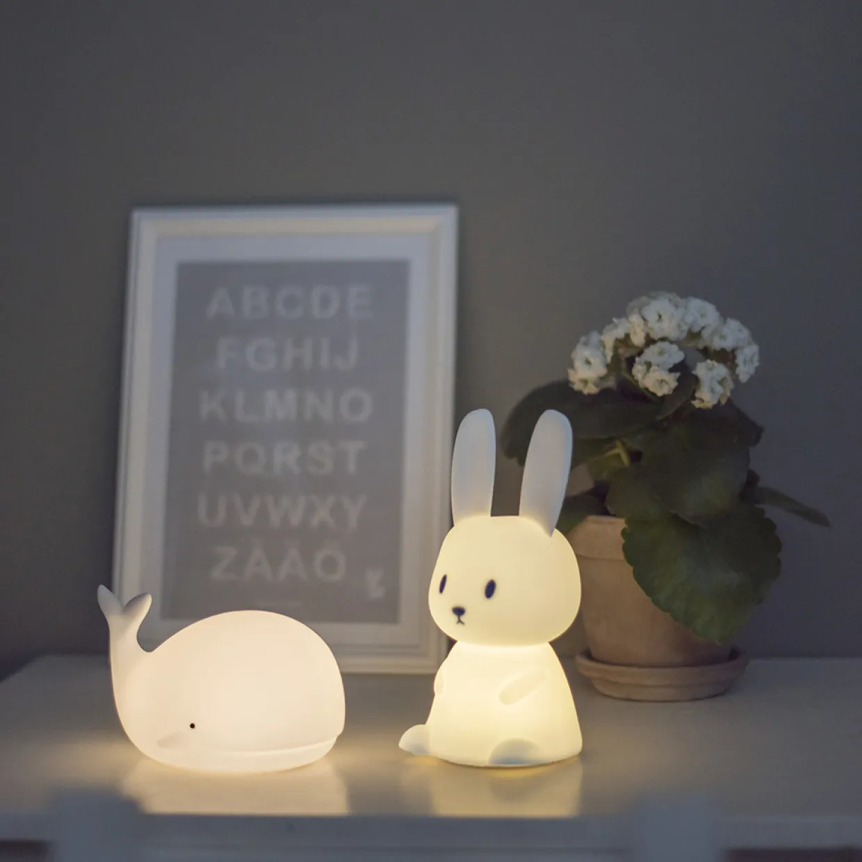 Functional Bunny