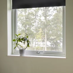 3-Glas Trä