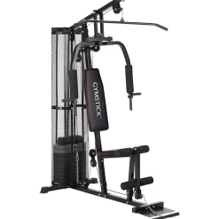 Home Gym 2