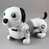 Junior Robo Dackel