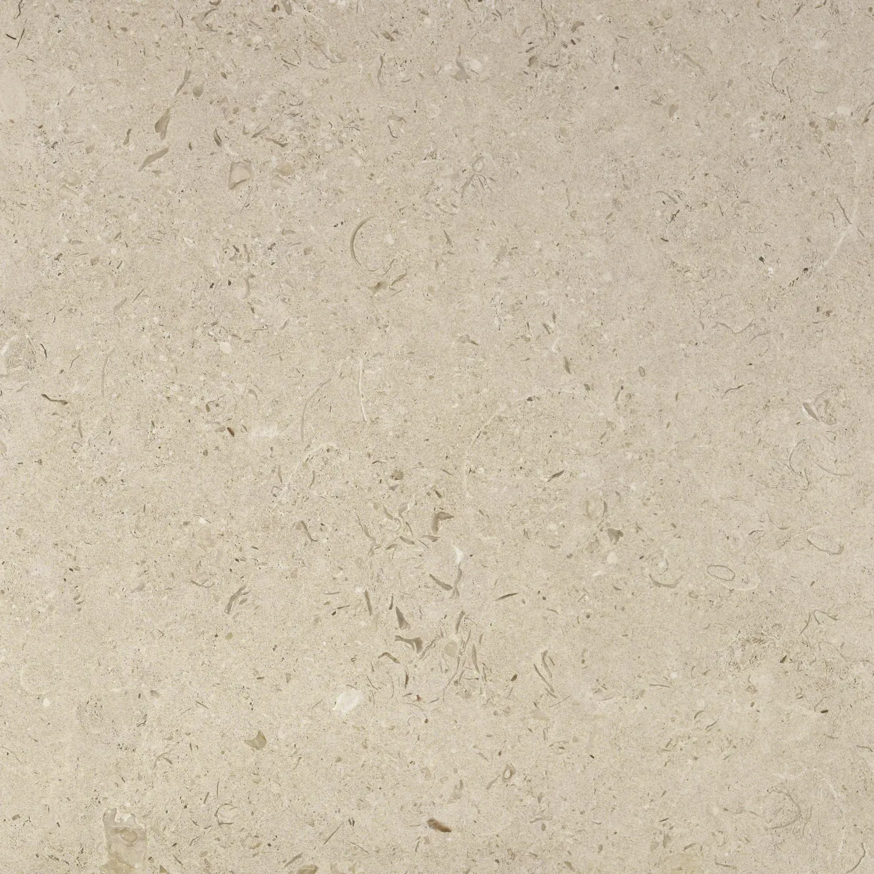 Kalksten Norr Beige Matt 60x60 cm