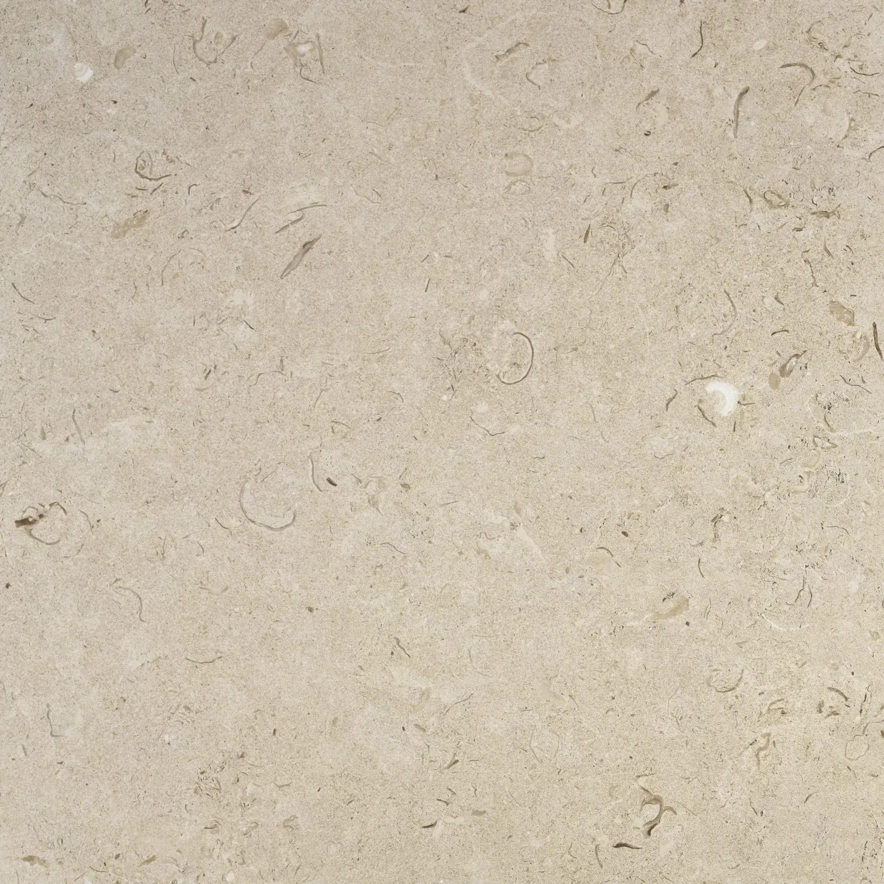 Kalksten Norr Beige Matt 60x60 cm