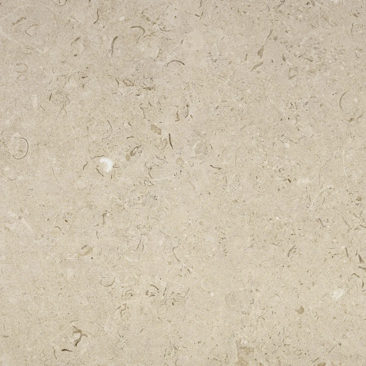 Kalksten Norr Beige Matt 60x60 cm