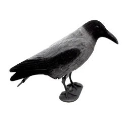 Kråka
