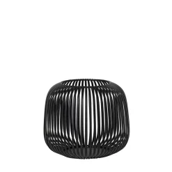 Lito Small