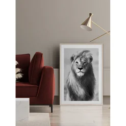Majestic Lion