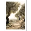 Mediterranean Path