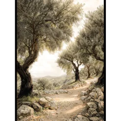 Mediterranean Path