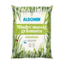 Mindre Mossig Gräsmatta