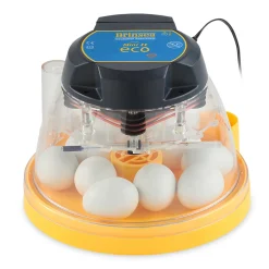 Mini II Eco