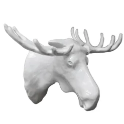 Moose