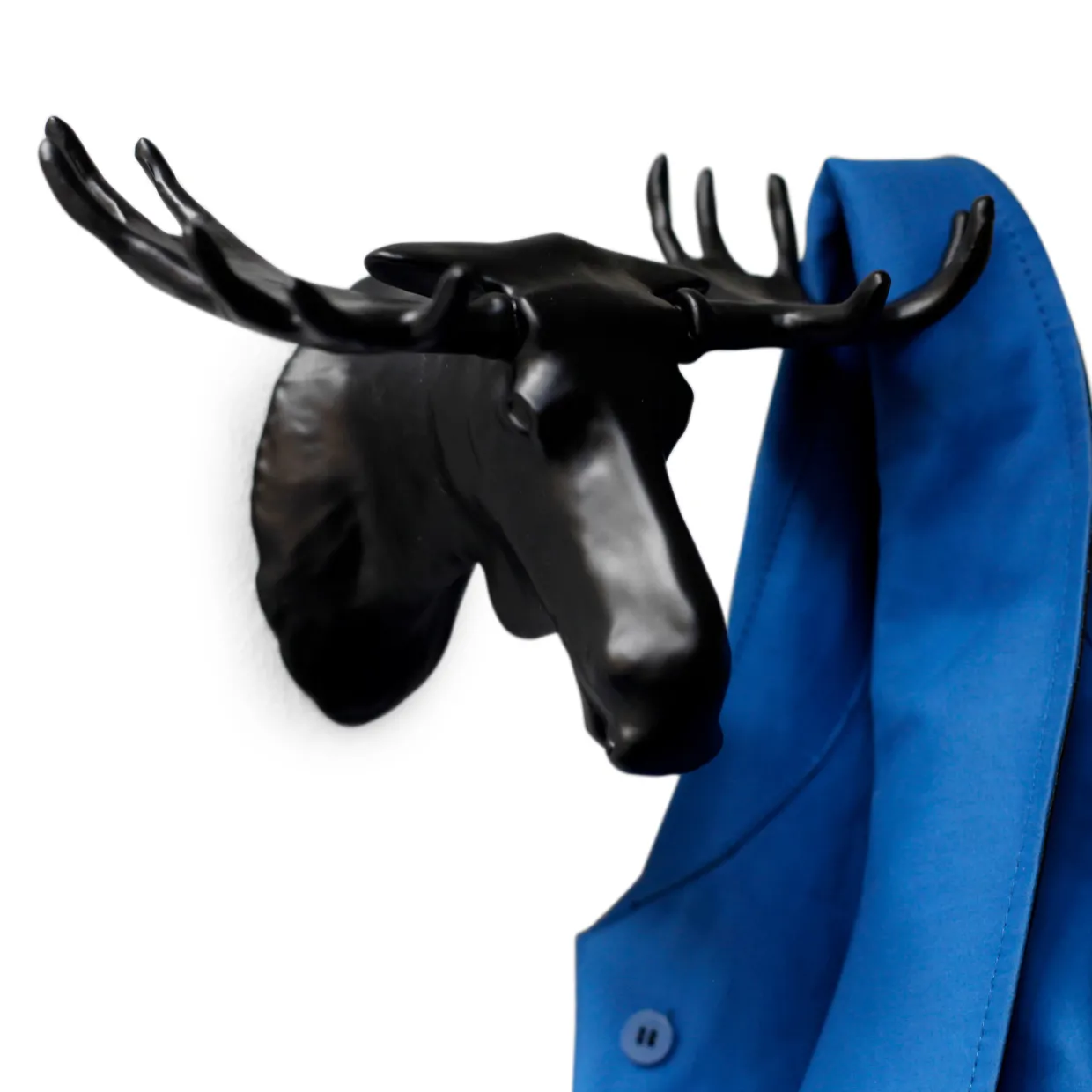 Moose
