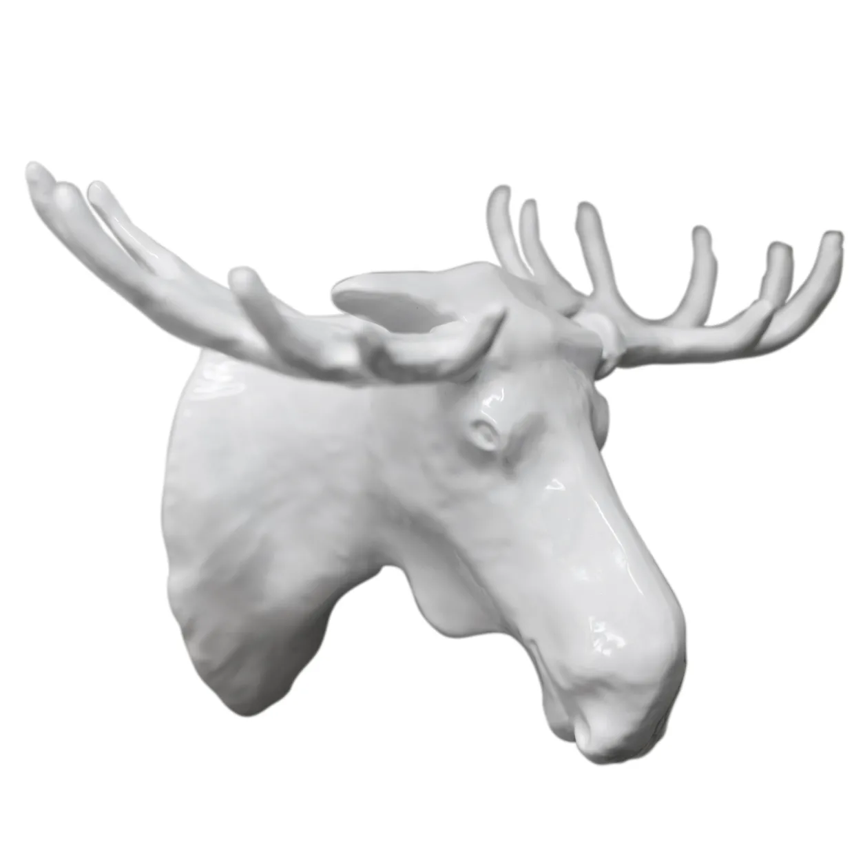 Moose