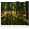 Morning in the Forest II 225x172 cm
